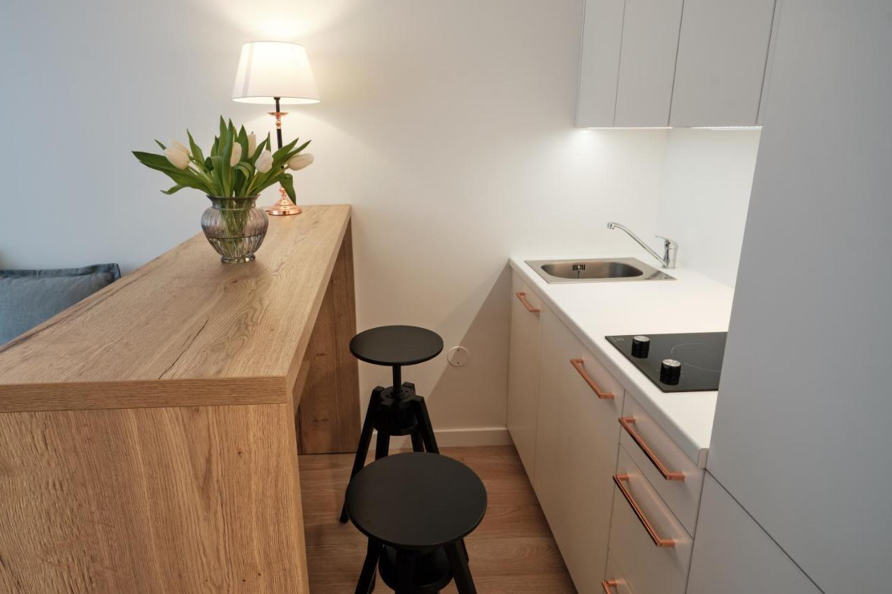 Cosy Studio Near Akropolis And Svyturio Arena Klaipėda Eksteriør billede